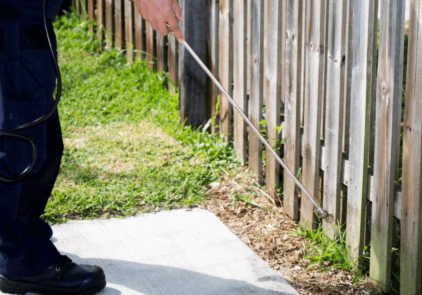 Pest control Gold Coast