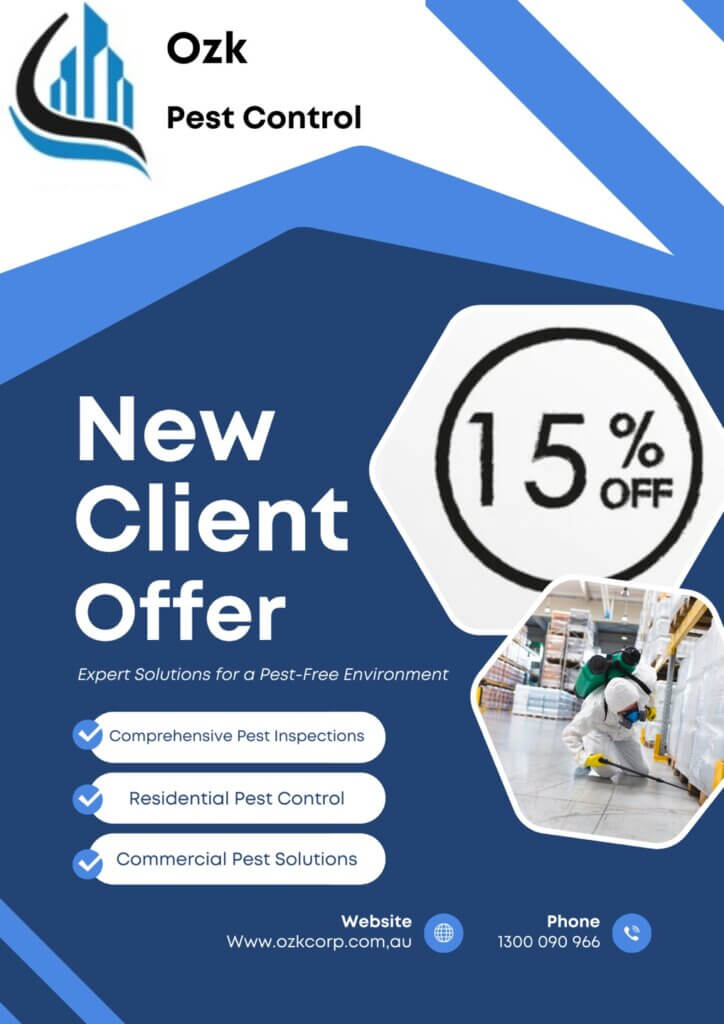 New Client Offer - Special